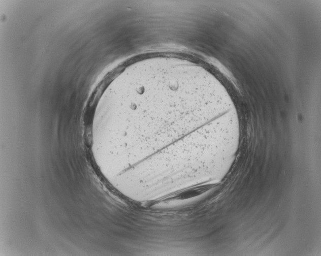 X0000061761364200512302253