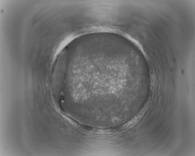 X0000061761365200512302253