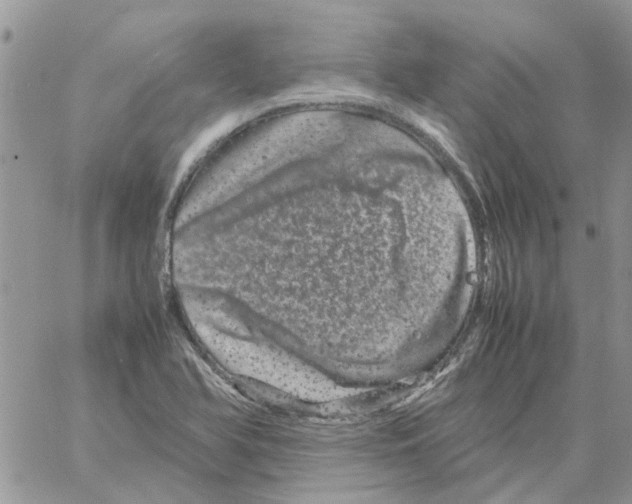 X0000061761366200512302252