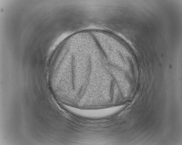 X0000061761367200512302252