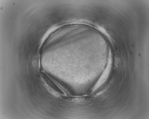 X0000061761368200512302252