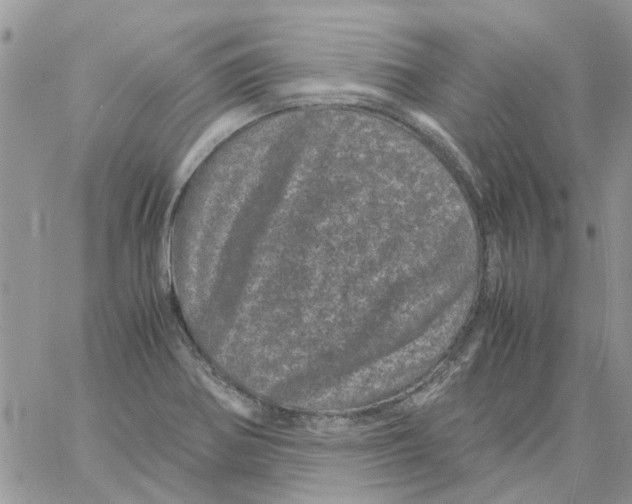 X0000061761370200512302252