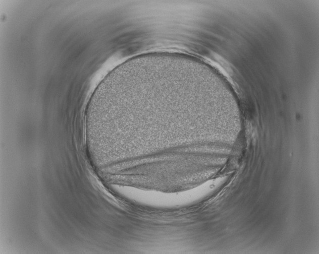 X0000061761371200512302252