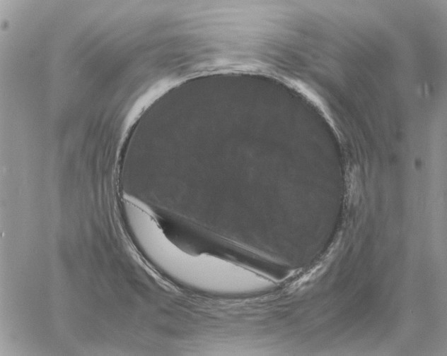 X0000061761373200512302252