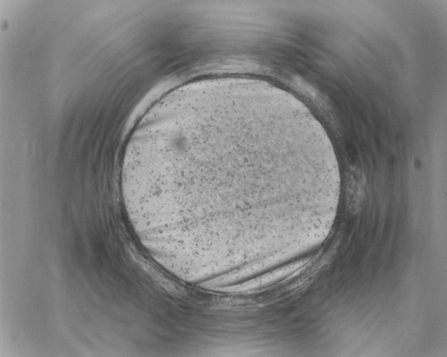 X0000061761374200512302252