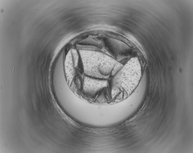 X0000061761376200512302252