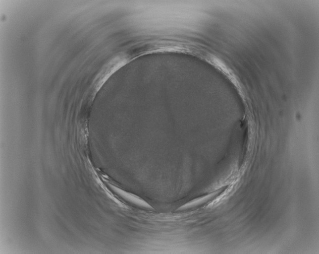 X0000061761377200512302252