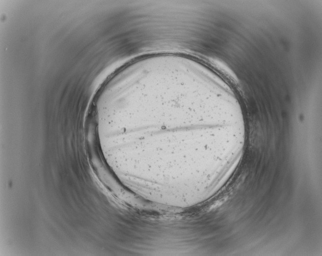 X0000061761380200512302252