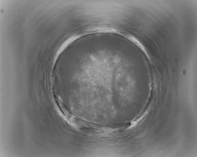 X0000061761381200512302252