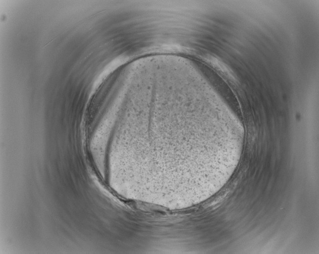 X0000061761382200512302252