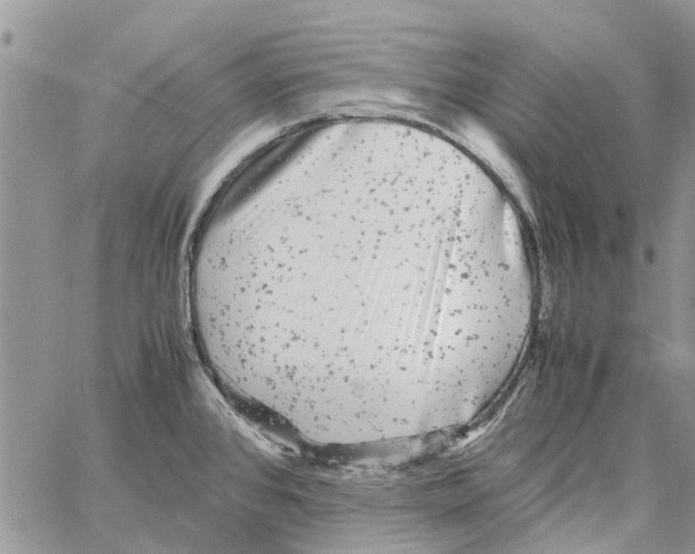 X0000061761384200512302252