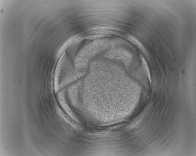 X0000061761386200512302252