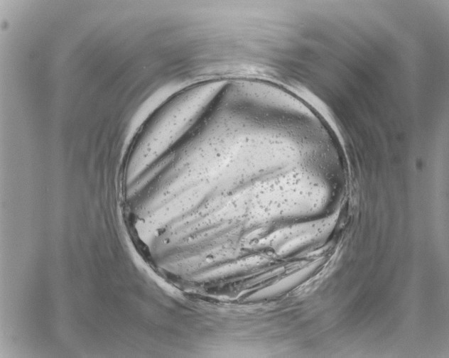 X0000061761389200512302252