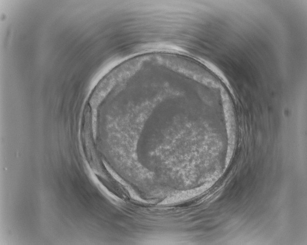 X0000061761391200512302252