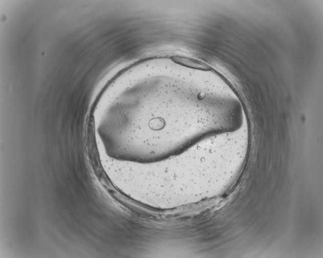 X0000061761392200512302252