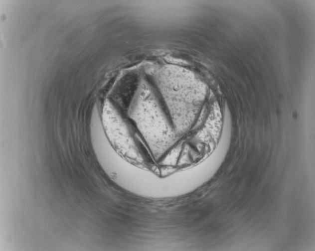 X0000061761394200512302251