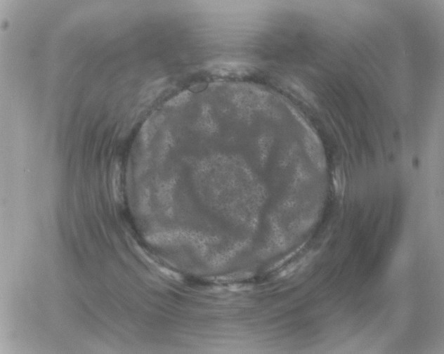 X0000061761396200512302251