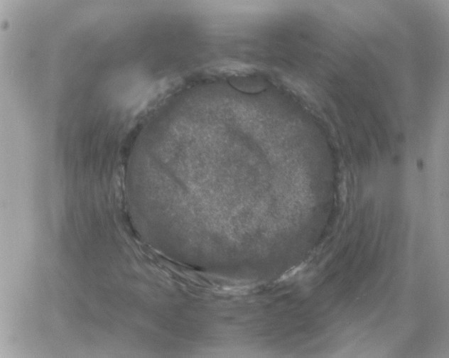 X0000061761397200512302251