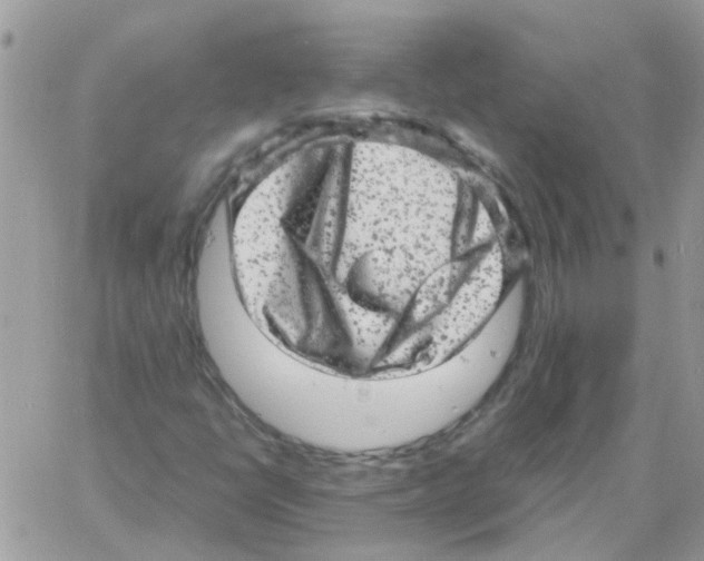 X0000061761398200512302251