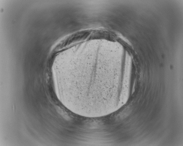 X0000061761400200512302251