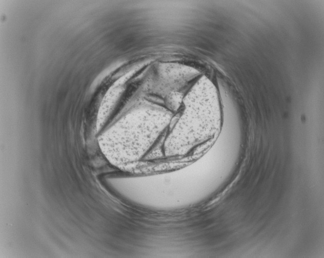 X0000061761402200512302251