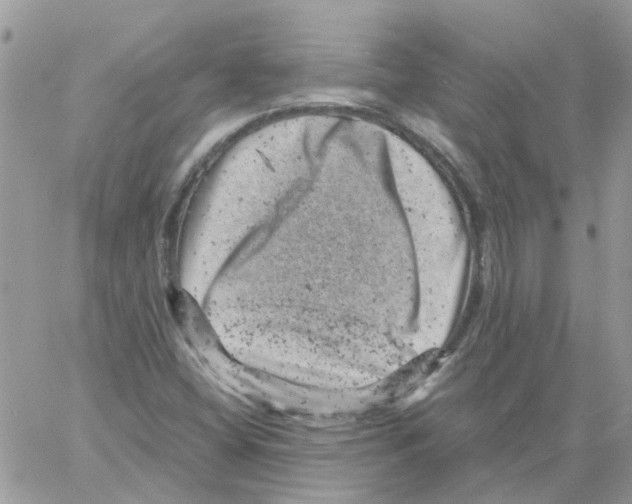 X0000061761404200512302251