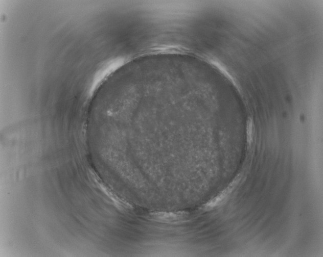 X0000061761405200512302251