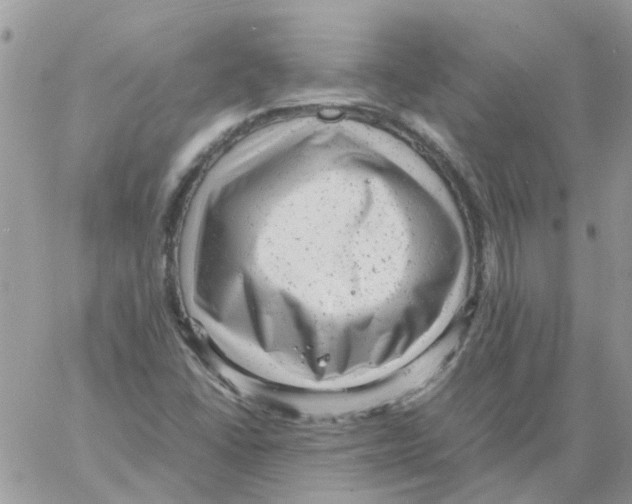 X0000061761406200512302251