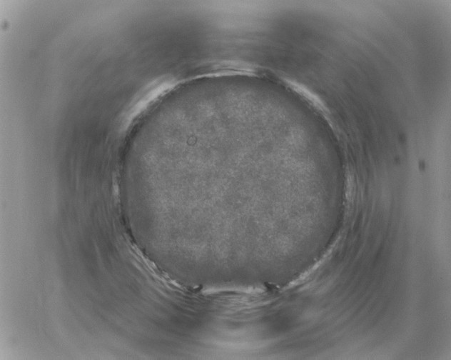 X0000061761407200512302251