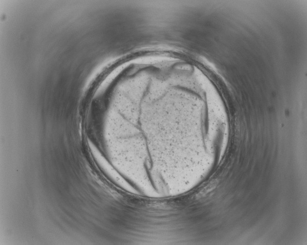 X0000061761408200512302252