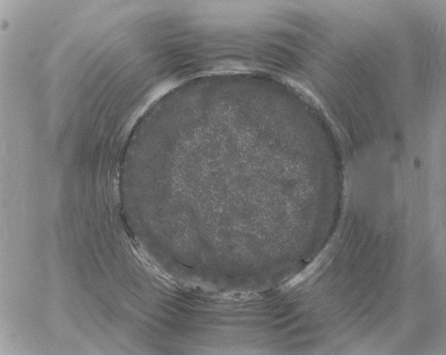 X0000061761409200512302252