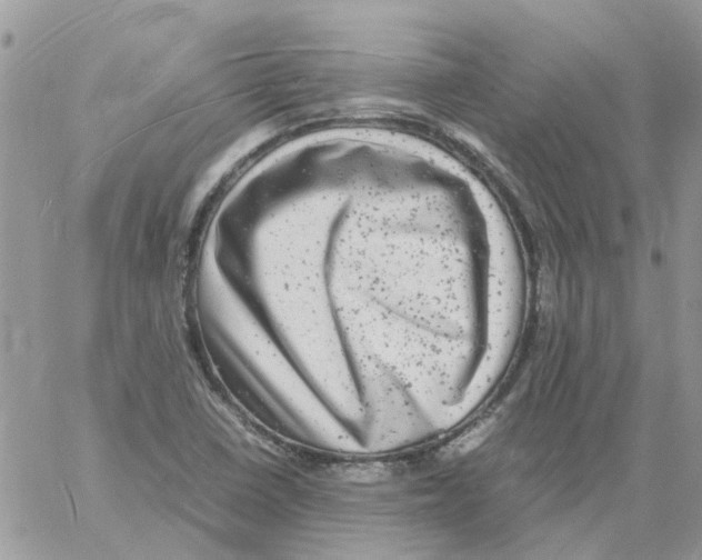 X0000061761410200512302252