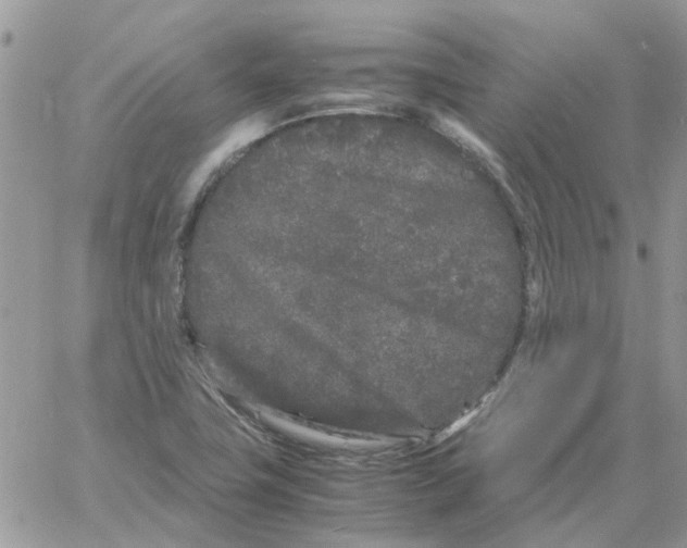 X0000061761411200512302252