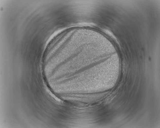 X0000061761412200512302252