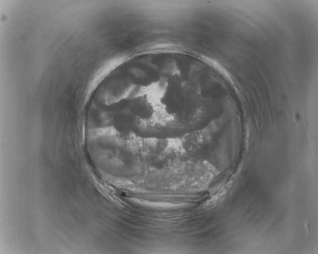 X0000061761413200512302252