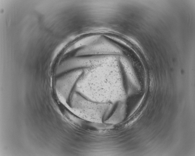 X0000061761414200512302252