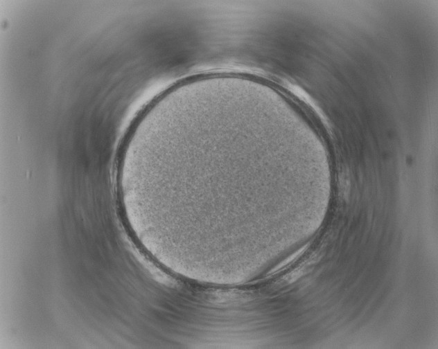 X0000061761416200512302252