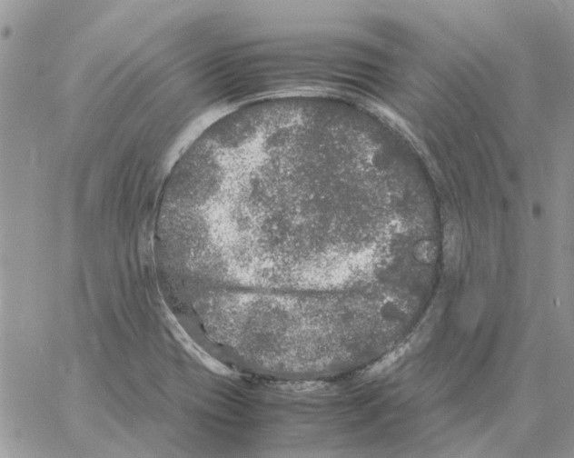 X0000061761417200512302252