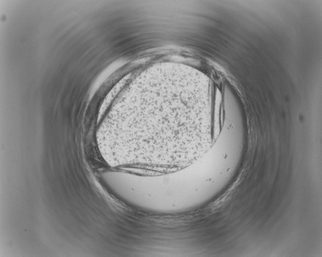 X0000061761418200512302252