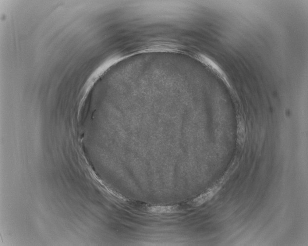 X0000061761419200512302252