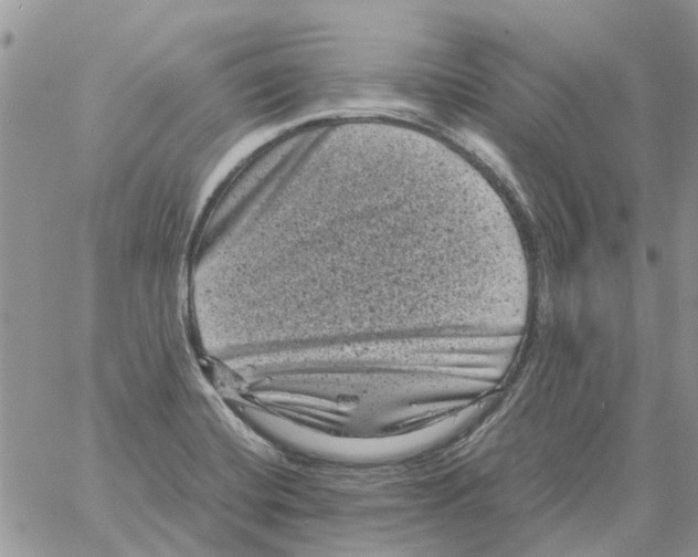 X0000061761420200512302252