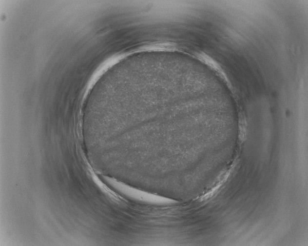 X0000061761421200512302252