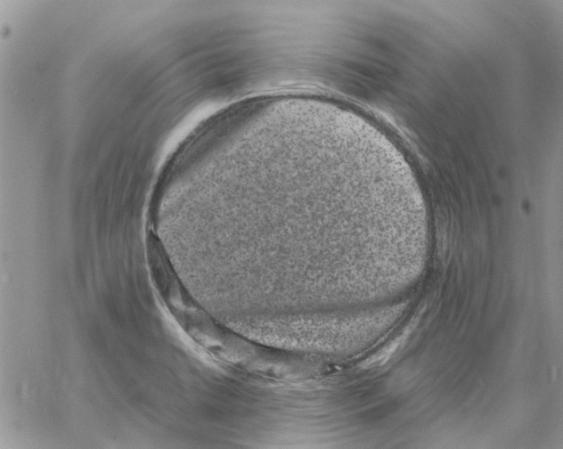 X0000061761422200512302252