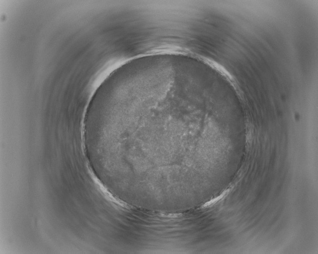 X0000061761423200512302252