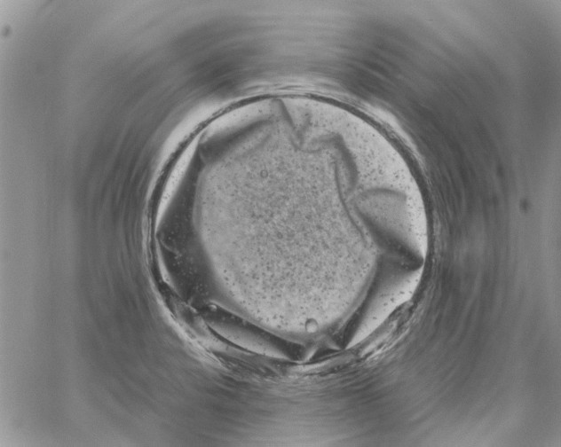 X0000061761424200512302252