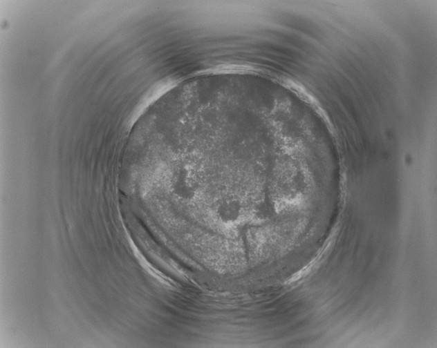 X0000061761425200512302252