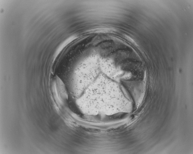 X0000061761426200512302252