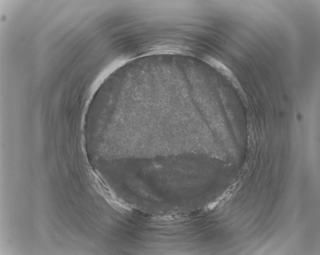 X0000061761427200512302252