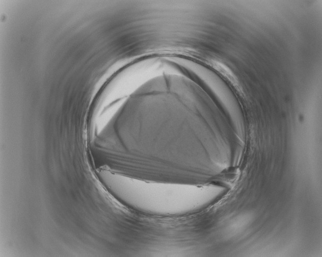 X0000061761428200512302252