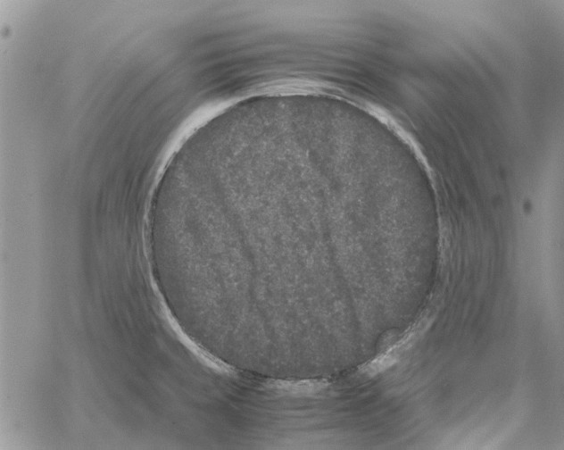 X0000061761429200512302252